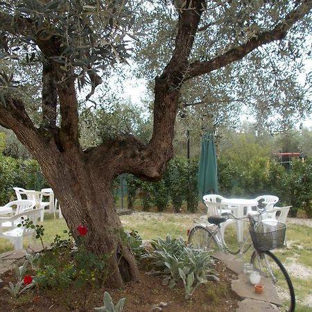 Casa Degli Ulivi Ξενοδοχείο Τίβολι Εξωτερικό φωτογραφία