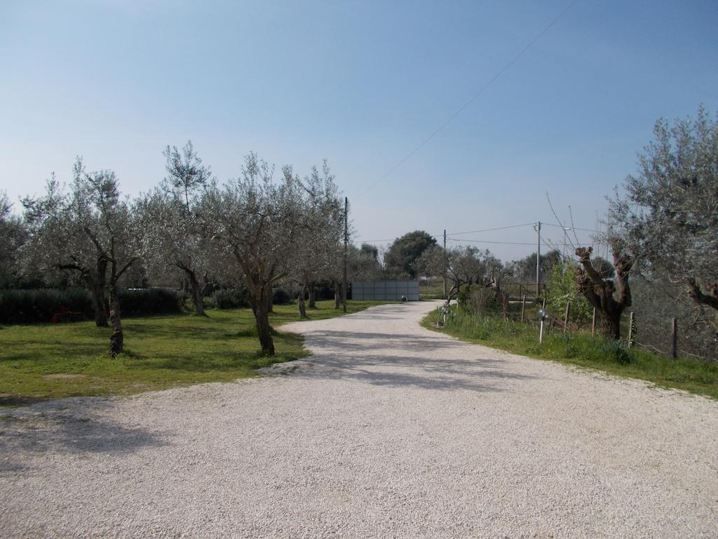 Casa Degli Ulivi Ξενοδοχείο Τίβολι Εξωτερικό φωτογραφία