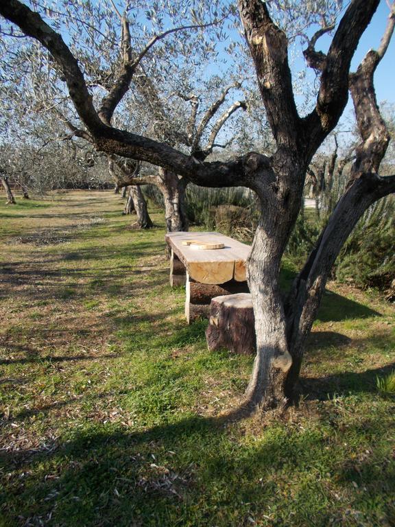 Casa Degli Ulivi Ξενοδοχείο Τίβολι Εξωτερικό φωτογραφία