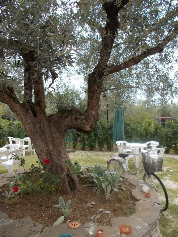 Casa Degli Ulivi Ξενοδοχείο Τίβολι Εξωτερικό φωτογραφία